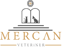 Mercan Veteriner Kliniği